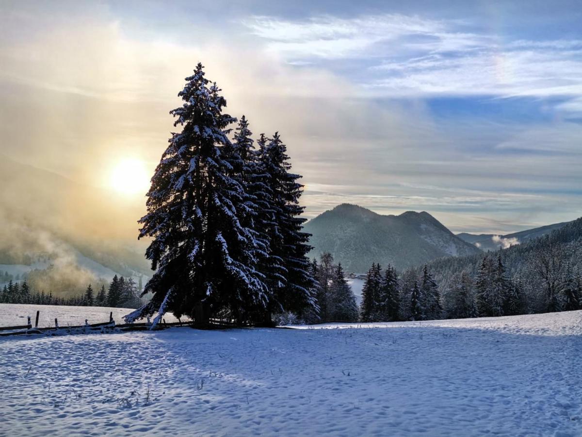Der Torwirt Radstadt Exteriér fotografie